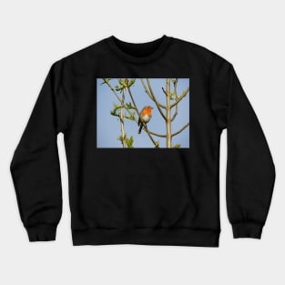 'My' Robin Crewneck Sweatshirt